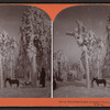 A matchless scene (Prospect Park), Niagara Falls, N.Y., U.S.A. [Man and sled in snow covered scene.]