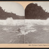 Whirlpool rapids, Niagara Falls, N.Y., U.S.A.