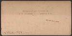 Daring Dixon, crossing Niagara on a 3-4th inch wire cable.