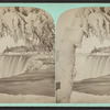 Indian Ice Tree, Niagara.
