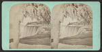 Indian Ice Tree, Niagara.