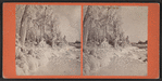 Ice Scene at Point View.
