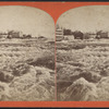 Rapids from Goat Island Bridge.