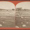 Rapids and Goat Island Bridge.