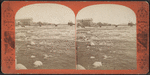 Rapids and Goat Island Bridge.