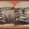 General View. [Tower, Bridge and Falls.]