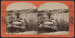 General View. [Tower, Bridge and Falls.]