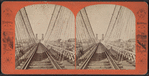 New Suspension Bridge.