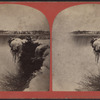 View of Horse-Shoe Fall.]