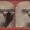 View of Horse-Shoe Fall.