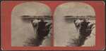 View of Horse-Shoe Fall.