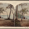 Scene on Goat Island.