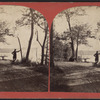 Scene on Goat Island.