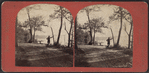 Scene on Goat Island.