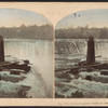 Instantaneous view of the Horse-Shoe Fall, Niagara.