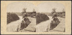 View from the Suspension Bridge, Niagara.
