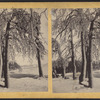 Winter view of trees and river, Niagara.]