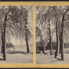 Winter view of trees and river, Niagara.
