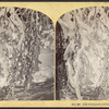 Ice foliage, Luna Island