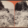 Ice grove, Luna Island.