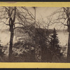 Niagara River, with trees.