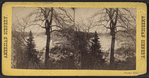 Niagara River, with trees.
