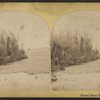 Horse Shoe Rapids.