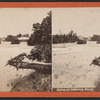 Scene at Niagara Falls. [Fallen tree in foreground.]