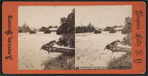Scene at Niagara Falls. [Fallen tree in foreground.]