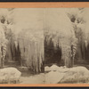 Ice and snow hanging from trees.
