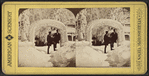 Ice arch, Prospect Park.