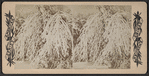 Winter scene at Niagara.