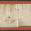 Ice view, Niagara.