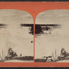 View of Horseshoe Falls.