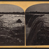 Horse-shoe Falls.