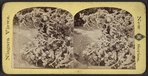 Winter scene at Niagara.