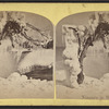 Niagara in winter. [Tree covered in frost.]