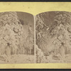 Niagara in winter. [Trees covered in snow.]