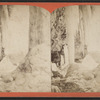 Bridal Vail [sic] and ice bridge.