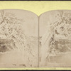 Winter scene at Niagara. [Trees covered in snow.]