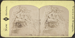 Winter scene at Niagara. [Trees covered in snow.]