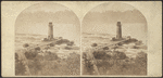 The Horse Shoe Fall and Prospect Tower, from Goat Island. [Hand-colored view.]
