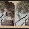 Niagara. Our meeting place on Dofferin Island. [Hand-colored view.]