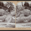 Niagara. Frostwork.