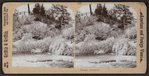 Niagara. Frostwork.