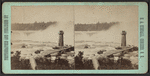 Niagara Falls [and Terrapin Tower].