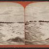 Rapids from Third Sister Island. [Niagara.]