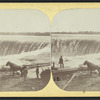 The Horse Shoe Fall.