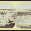 The Horse Shoe Fall, from above Table Rock.