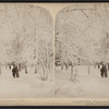 A lover's walk, Niagara Falls, New York, U.S.A. [View of couple walking in winter scene.]